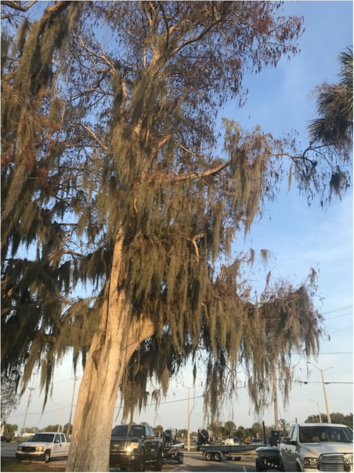 truth  ブログ写真 2019/02/18