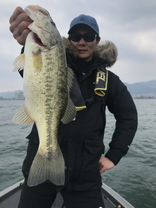 truth  ブログ写真 2019/03/22
