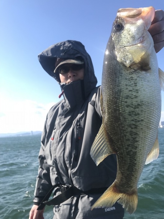 truth  ブログ写真 2019/04/01