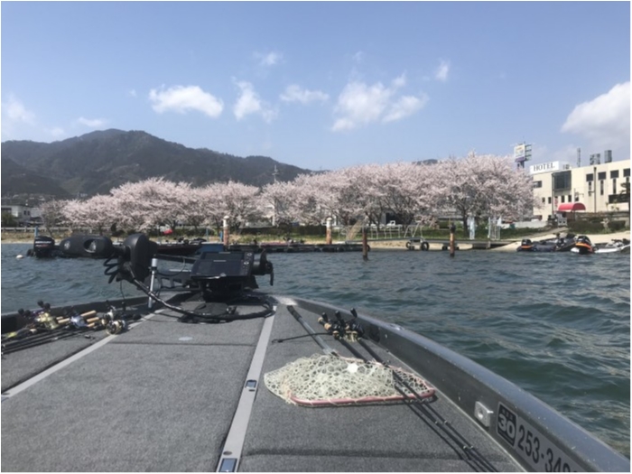 truth  ブログ写真 2019/04/08