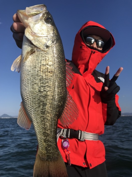 truth ブログ写真 2019/04/15