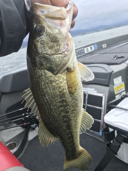 truth  ブログ写真 2019/04/24