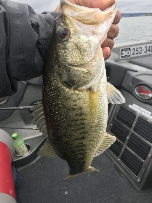 truth  ブログ写真 2019/05/01