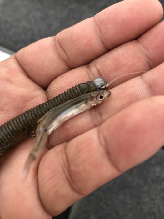 truth  ブログ写真 2019/05/01