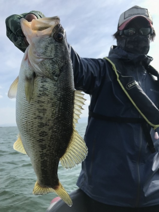 truth  ブログ写真 2019/05/02