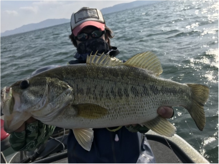 truth  ブログ写真 2019/05/02