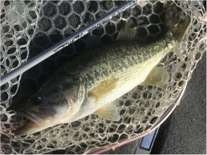 truth  ブログ写真 2019/05/04