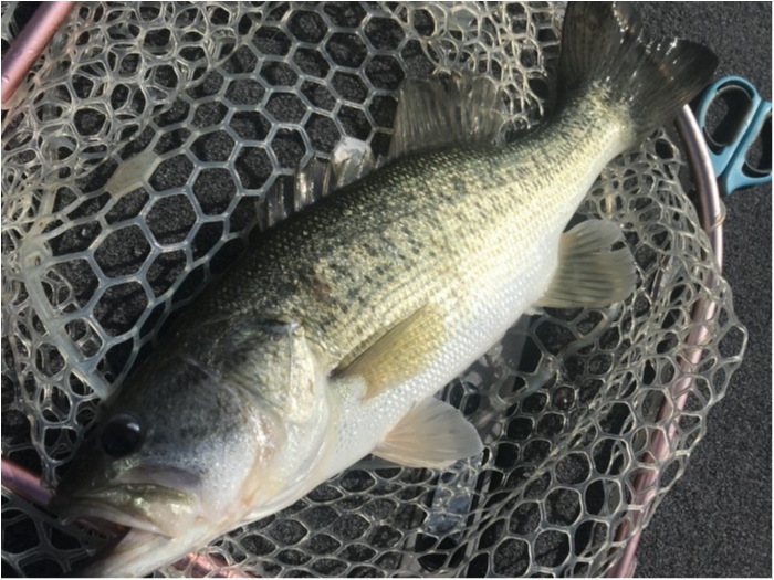 truth  ブログ写真 2019/05/05