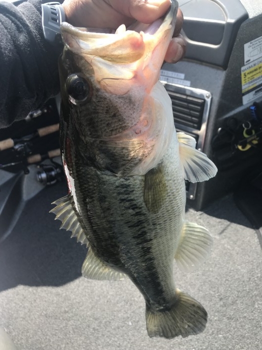 truth  ブログ写真 2019/05/05