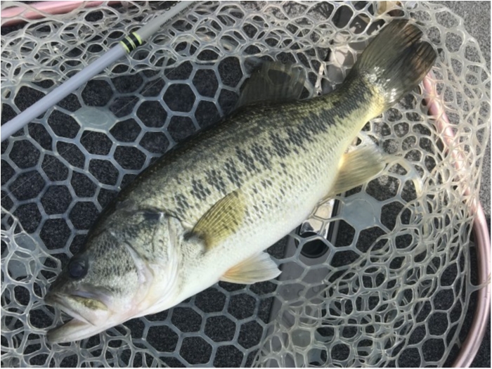 truth  ブログ写真 2019/05/05