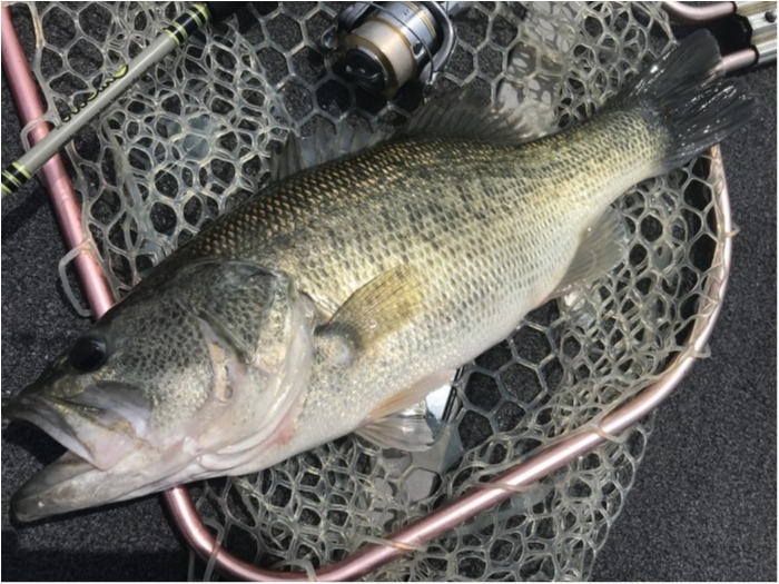 truth  ブログ写真 2019/05/05