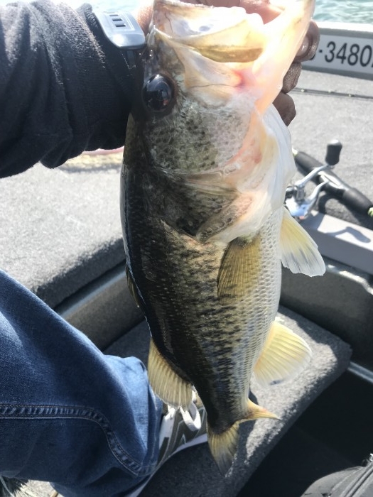 truth  ブログ写真 2019/05/05