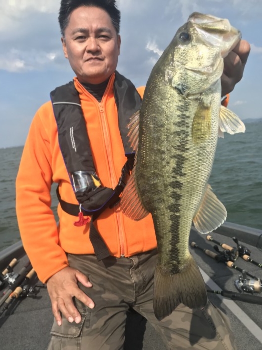 truth  ブログ写真 2019/05/05