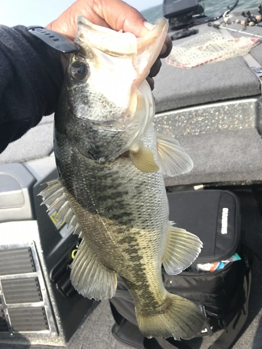 truth  ブログ写真 2019/05/05