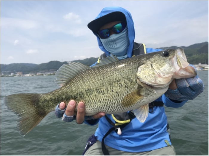 truth  ブログ写真 2019/05/06