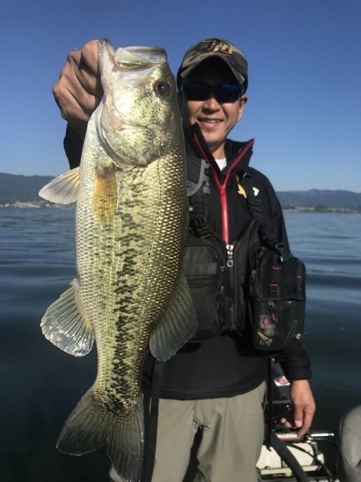 truth  ブログ写真 2019/05/08