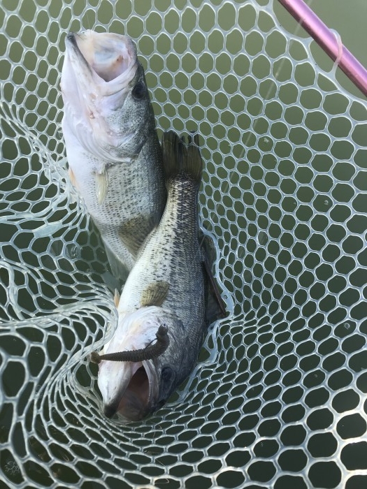 truth  ブログ写真 2019/05/08