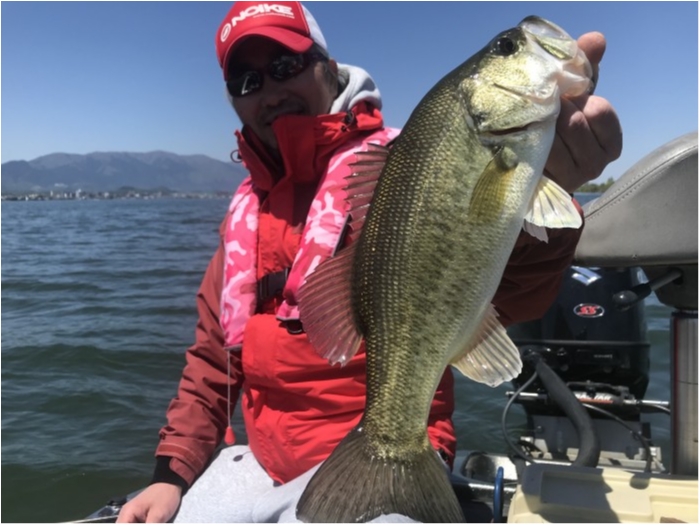 truth  ブログ写真 2019/05/08