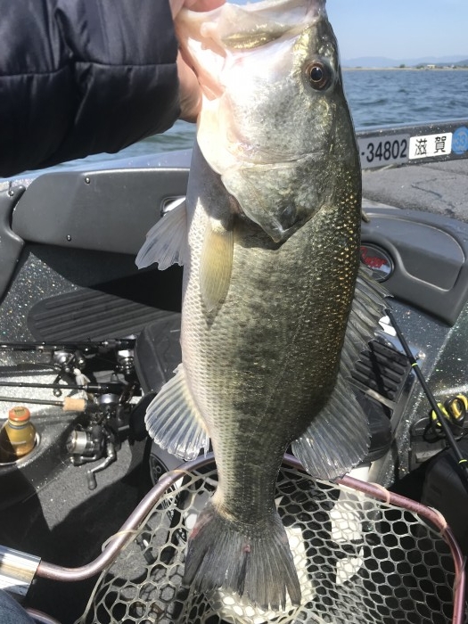 truth  ブログ写真 2019/05/08