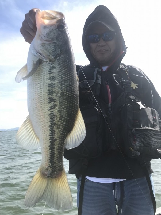 truth  ブログ写真 2019/05/08