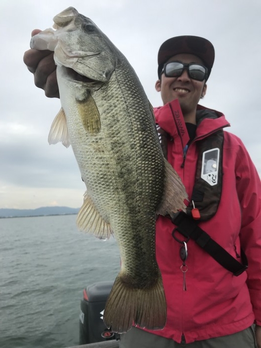 truth  ブログ写真 2019/05/09