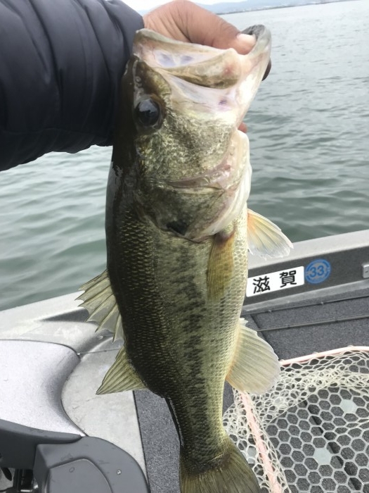 truth  ブログ写真 2019/05/09