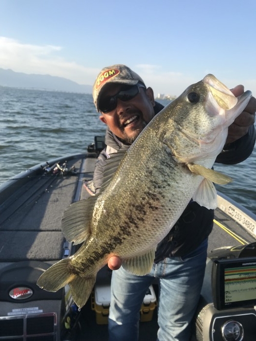 truth  ブログ写真 2019/05/09