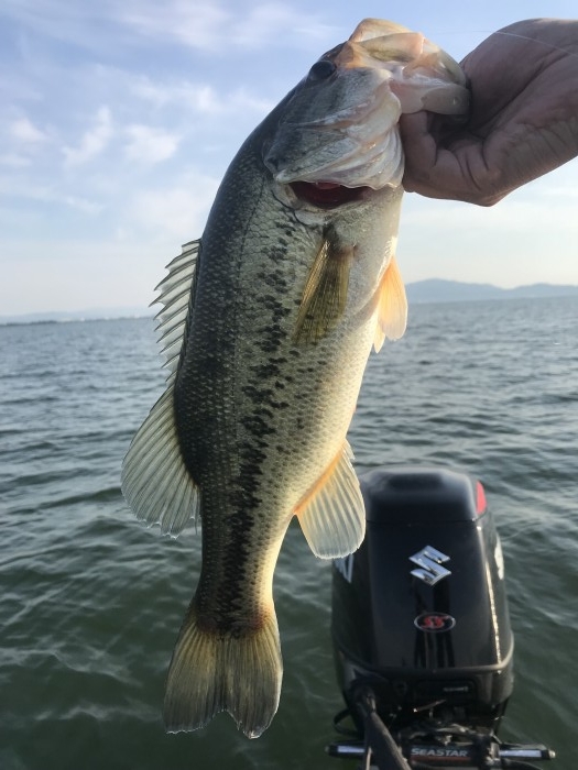 truth  ブログ写真 2019/05/10