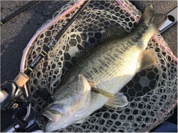 truth  ブログ写真 2019/05/10