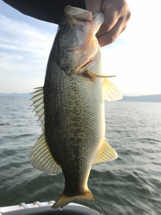 truth  ブログ写真 2019/05/10