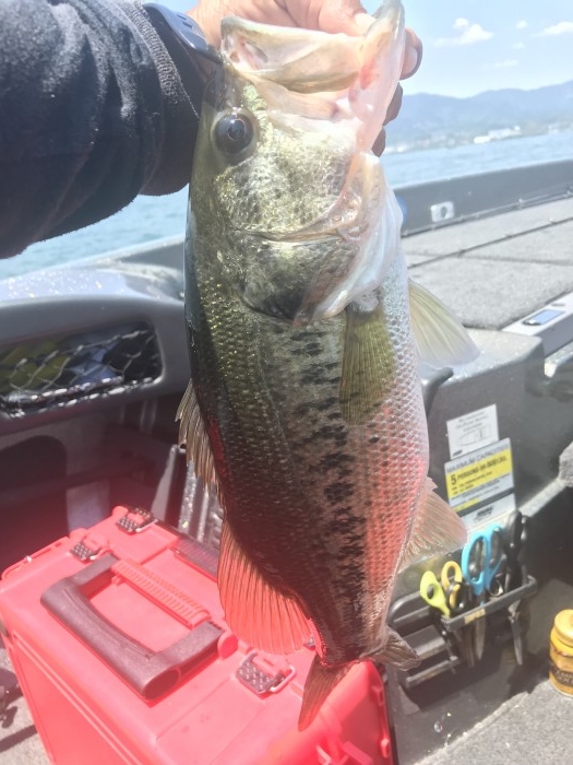 truth  ブログ写真 2019/05/11