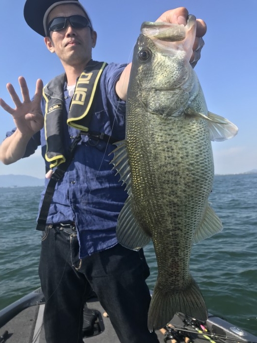 truth  ブログ写真 2019/05/11