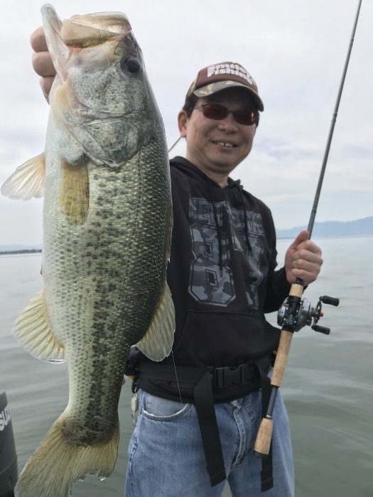 truth  ブログ写真 2019/05/12