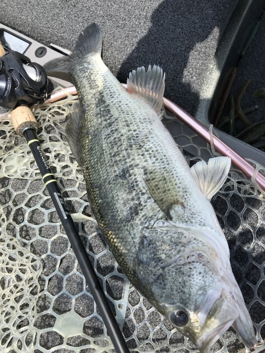 truth  ブログ写真 2019/05/12