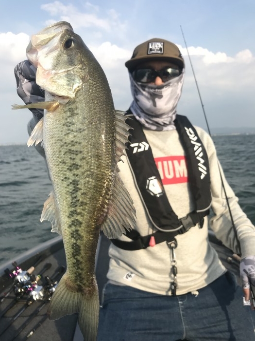 truth  ブログ写真 2019/05/13