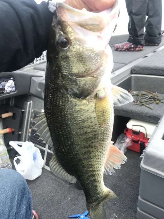 truth  ブログ写真 2019/05/14