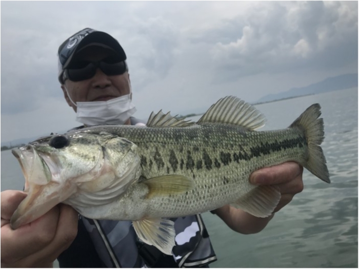 truth  ブログ写真 2019/05/14