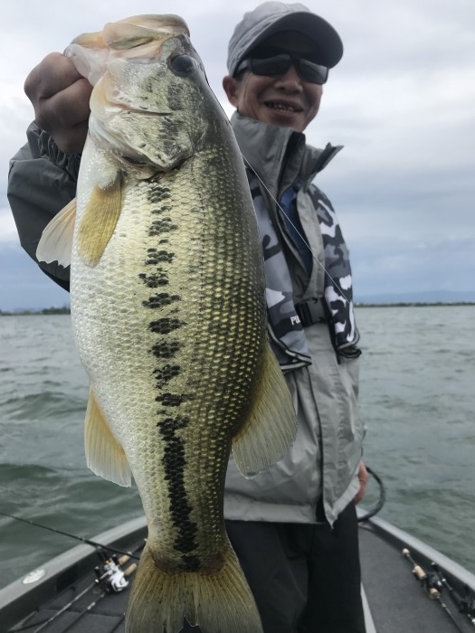 truth  ブログ写真 2019/05/14