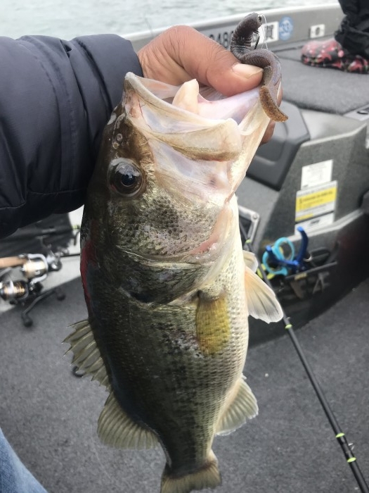 truth  ブログ写真 2019/05/14