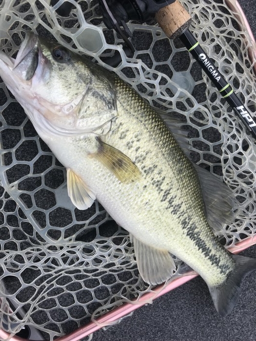 truth  ブログ写真 2019/05/14