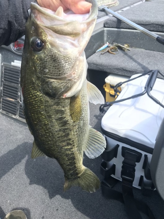 truth  ブログ写真 2019/05/15