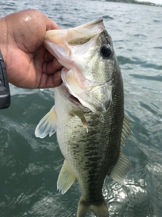 truth  ブログ写真 2019/05/15