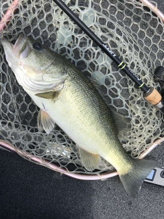 truth  ブログ写真 2019/05/15