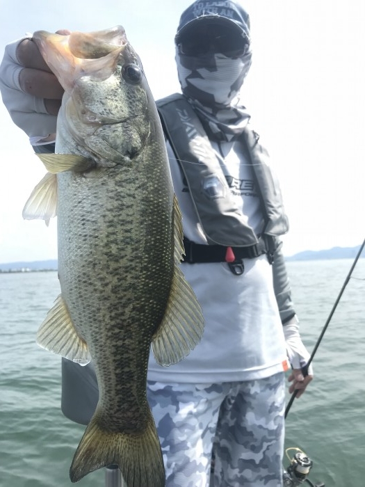 truth  ブログ写真 2019/05/16