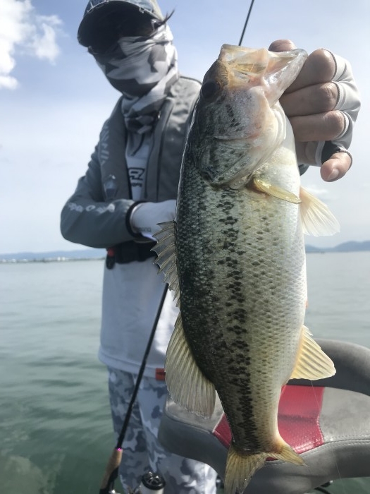 truth  ブログ写真 2019/05/16