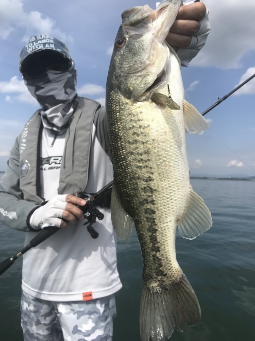 truth  ブログ写真 2019/05/16