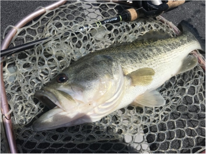 truth  ブログ写真 2019/05/17