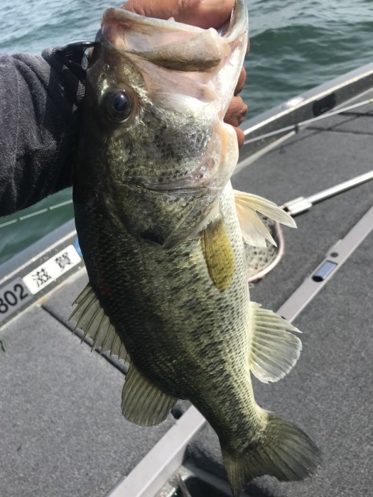 truth  ブログ写真 2019/05/17