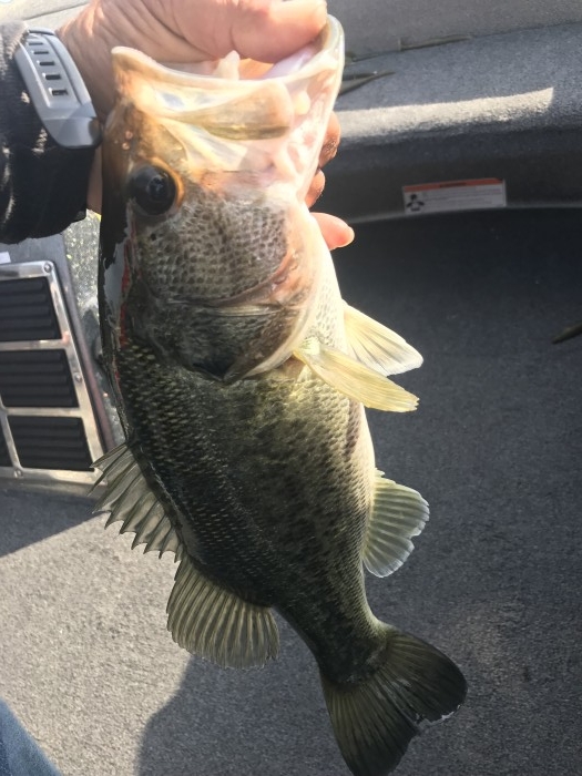 truth  ブログ写真 2019/05/17