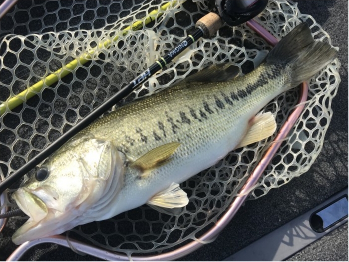 truth  ブログ写真 2019/05/17